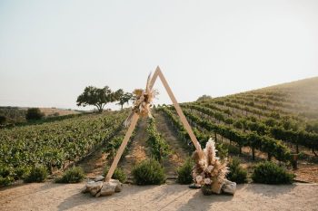 A triangular wooden wedding arch adorned with flowers, set against a vineyard backdrop.