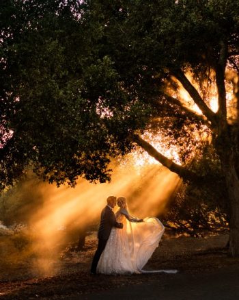A couple in wedding attire embracing under sunbeams shining through trees.
