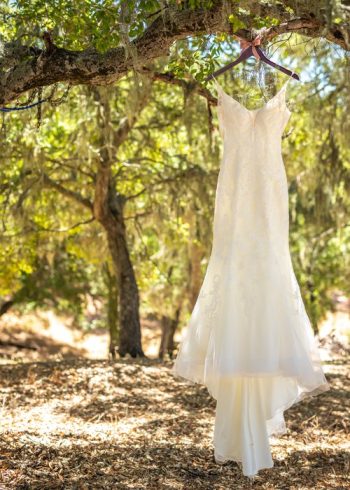 Wedding dress hanging from a tree branch in a sun-dappled forest setting.